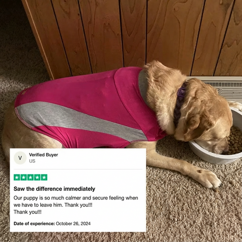 Nivra Dog Home Calm Diffuser